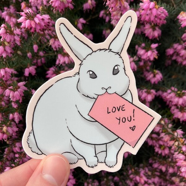 I Love You Bunny / Note Rabbit / Valentine Message / Chunky Bunny / Cute White Rabbit with Message / Dew Lap Big Bun / Valentine's Love