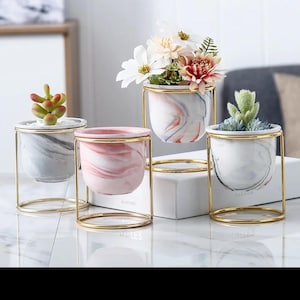 Cute Ceramic Planter/succulents planter/Pen Holder/Home/office Decor/Ceramic Flower Pots with Gold Iron Frame