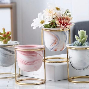 Cute Ceramic Planter/succulents planter/Pen Holder/Home/office Decor/Ceramic Flower Pots with Gold Iron Frame