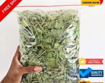 Foglie di Centella asiatica biologica essiccata / Foglie di Gotukola in polvere pura / Erba ayurvedica per rinforzare pelle, capelli e cervello / Tisana naturale