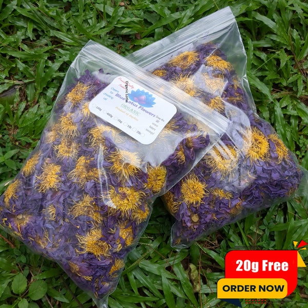 Blue Lotus Flower | Premium Quality Pure Organic Dried Flowers | Blue Herbs Tea | Nymphaea caerulea | Herbal Tea | Water Lily Hand Picked