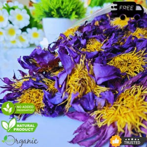 Organic Blue Lotus Flower | Nymphaea caerulea | Pure Quality Herbs Dried Flowers | Ceylon Water Lily Hand Picked | Herbal Tea | Lucid Dreams