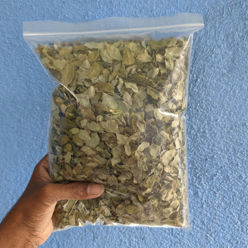 May include: A clear plastic bag filled with dried green leaves. The bag is held by a person's hand against a blue background. The leaves appear to be a natural product, possibly for culinary or medicinal use.