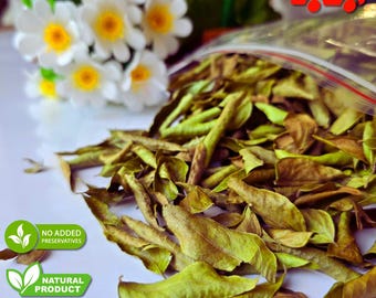 Curry Leaves | Organic Dried Curry Leaves Powder for Cooking & Hair Care | Murraya Koenigii | Natural Spice | Ayurvedic Herb | Herbal Tea