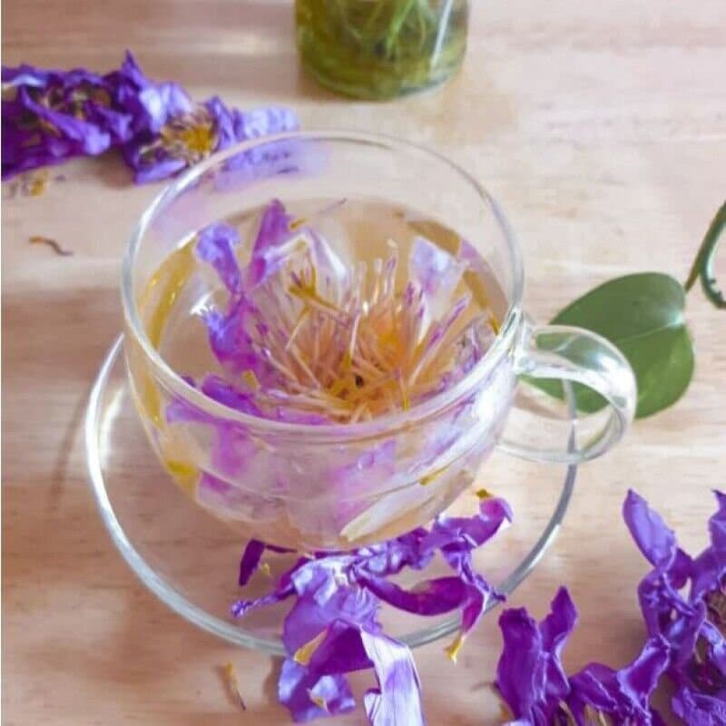 100% Standard EU Fornitura Di Fabbrica Diretta Biologica Alla Rinfusa Fumo Ninfea Caerulea Fiori Di Loto Blu Essiccati All'ingrosso Sostenibile - Foto 2