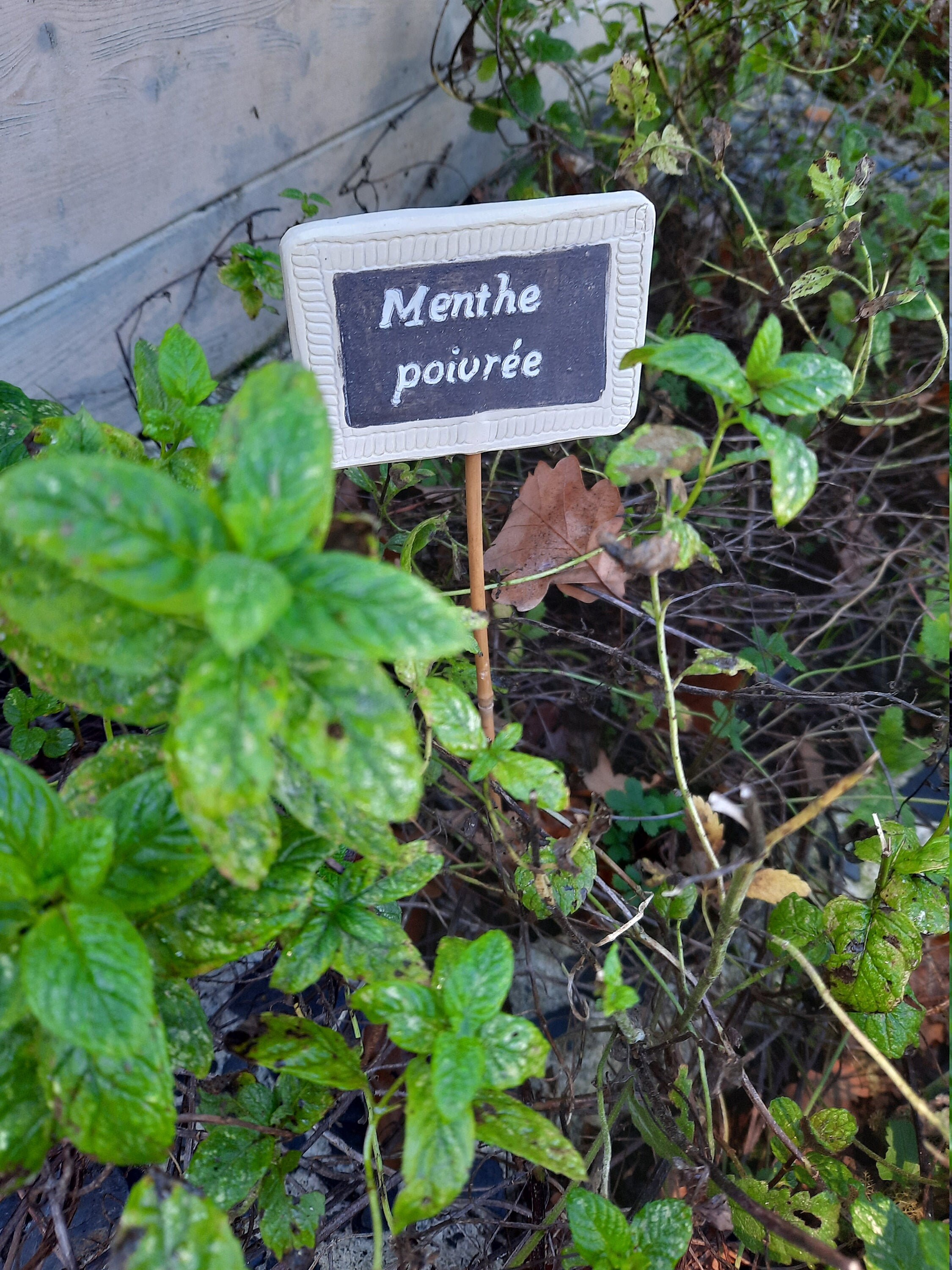 Étiquette Décorative en Céramique Pour Le Potager