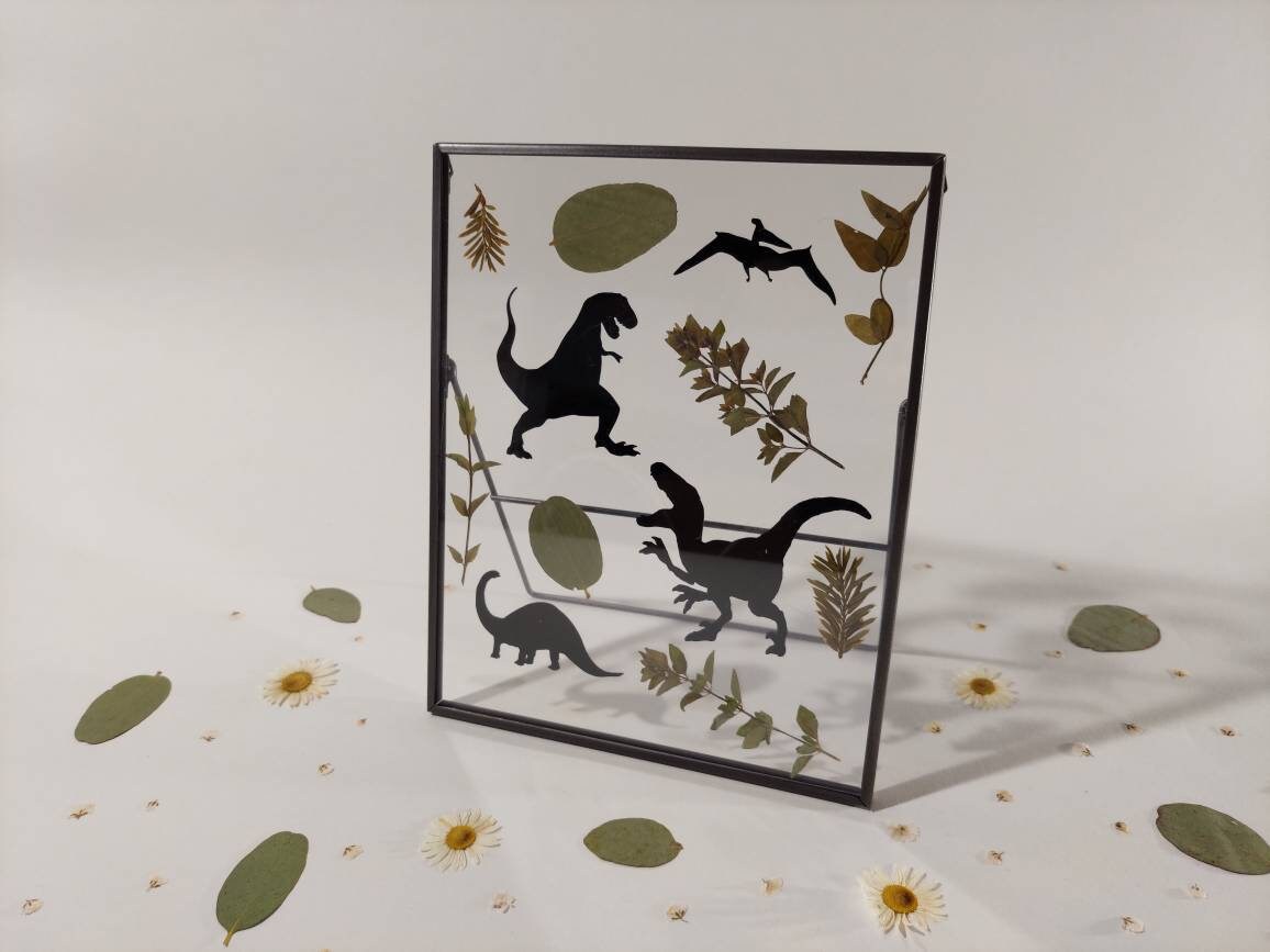 Herbier Dinosaures/Décoration Murale Fait Main Créatrice Bretonne Fabriqué en France Fleurs Pressés