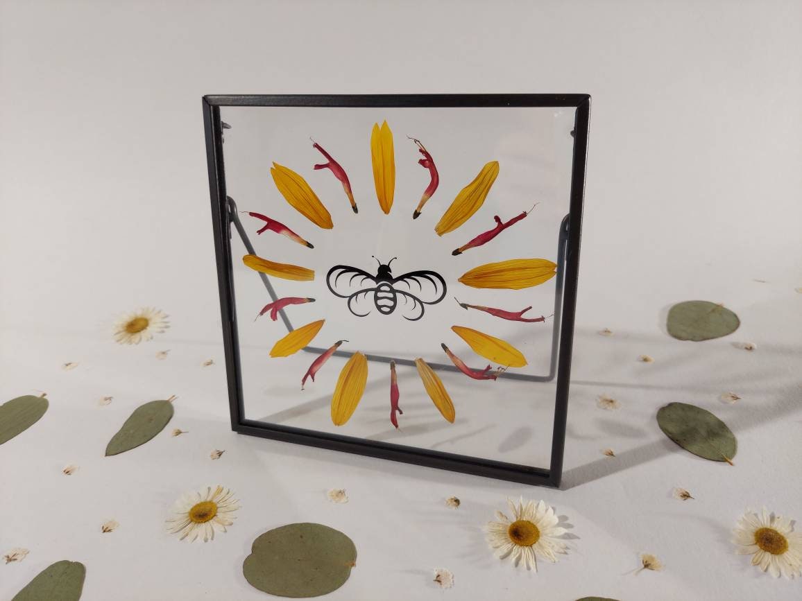 Herbier Abeille/Décoration Murale Fait Main Créatrice Bretonne Fabriqué en France Fleurs Pressés