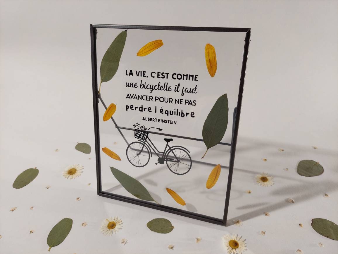 Herbier Citation Vélo/Décoration Murale Fait Main Créatrice Bretonne Fabriqué en France Fleurs Press