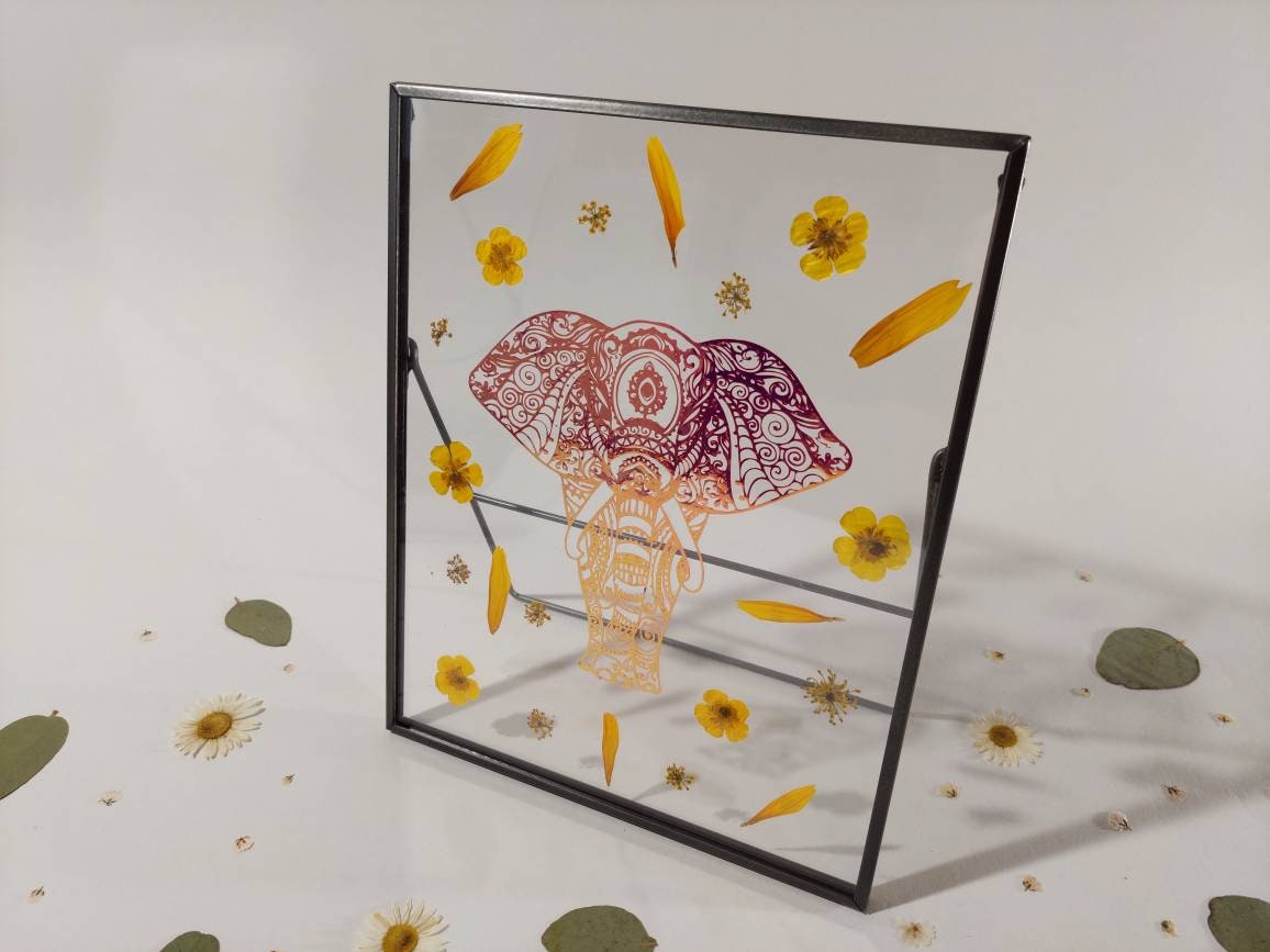 Herbier Éléphant/Décoration Murale Fait Main Créatrice Bretonne Fabriqué en France Fleurs Pressés