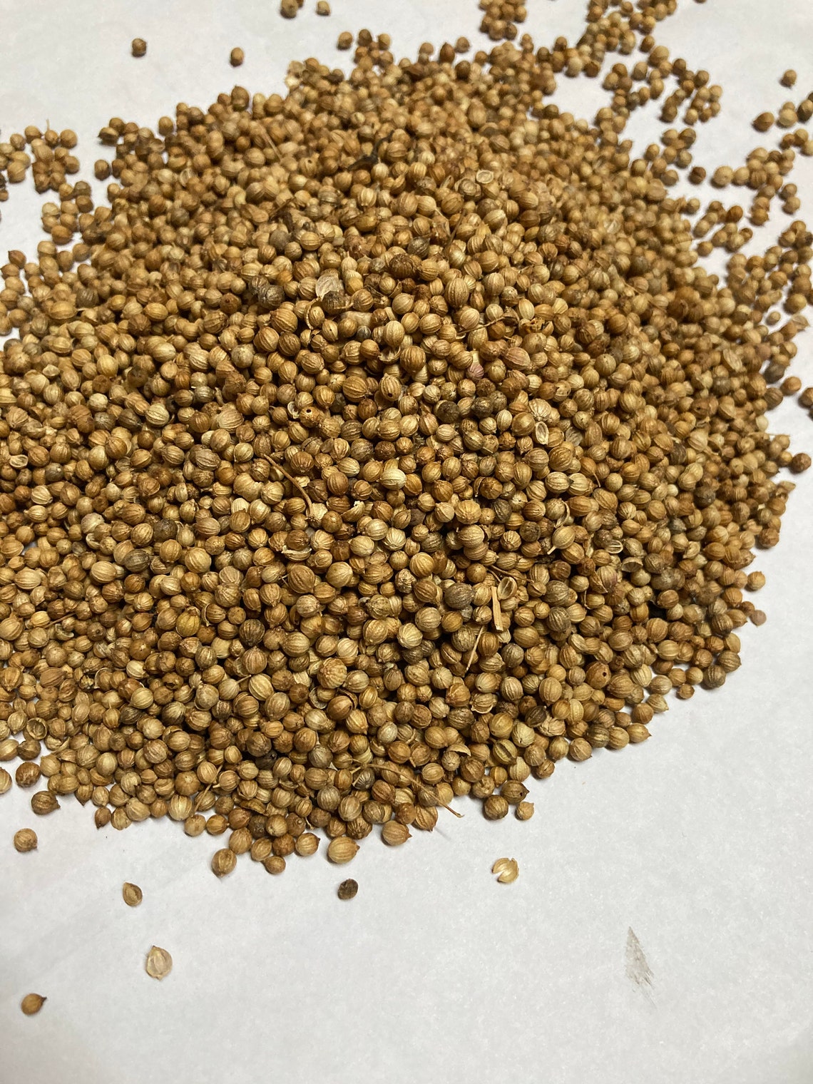 Dried Coriander Seeds 100 Organic Coriander Sativa Health Etsy