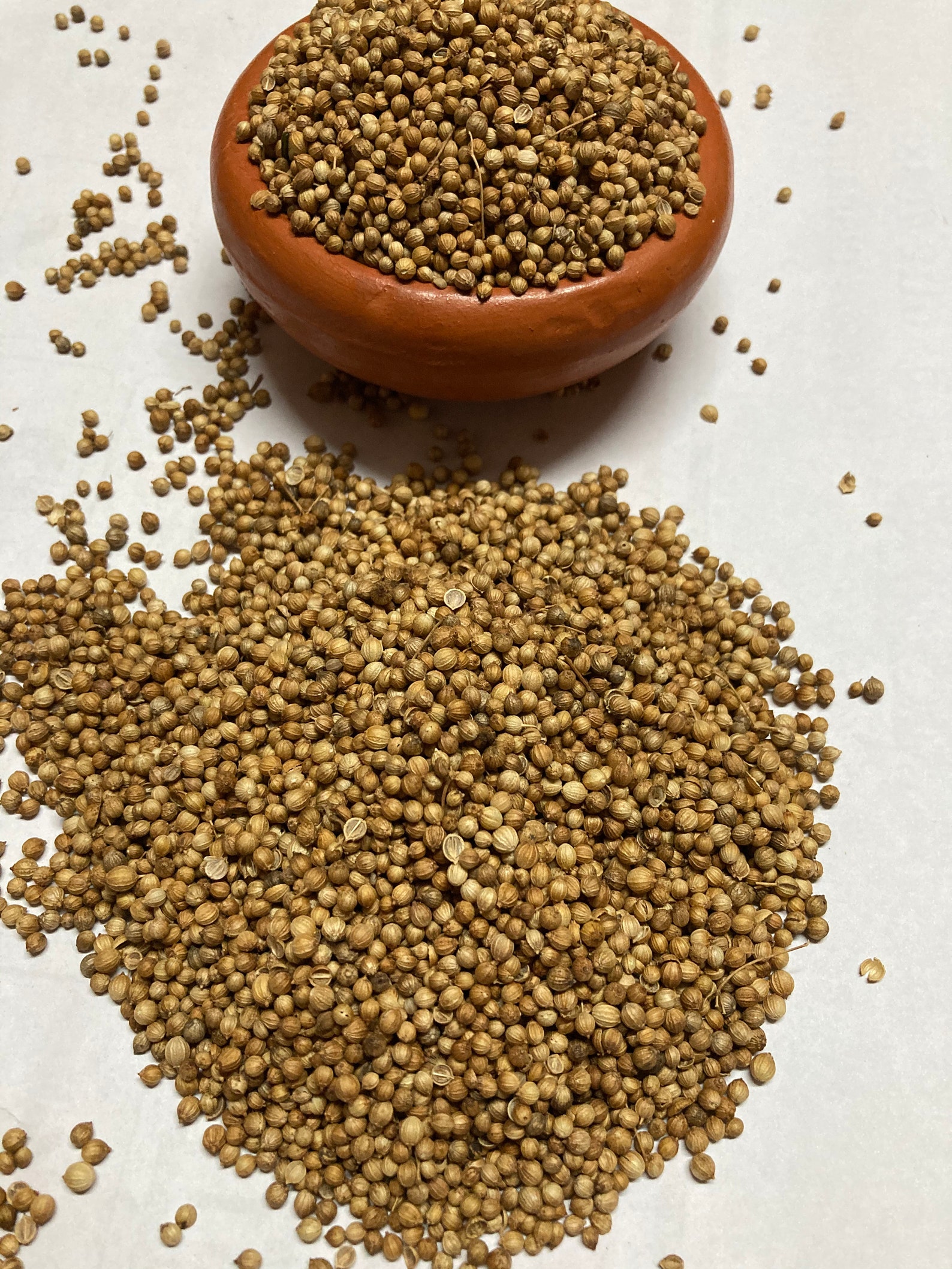 Dried Coriander Seeds 100 Organic Coriander Sativa Health Etsy