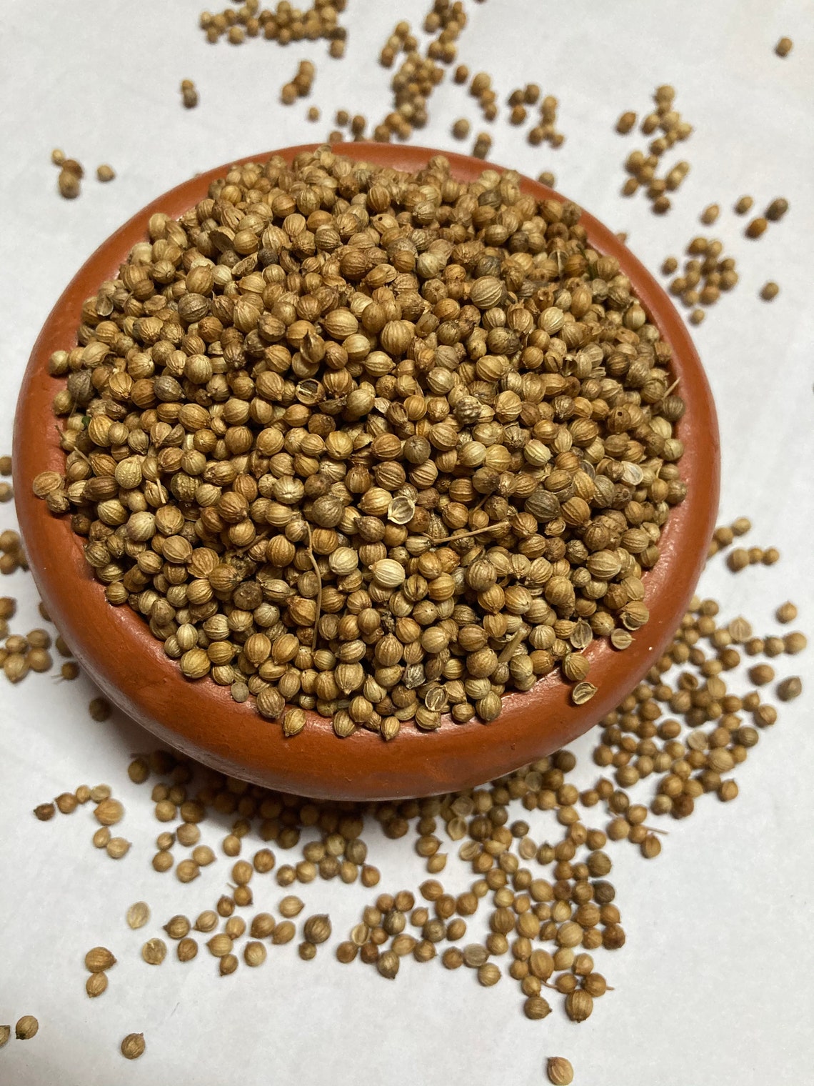 Dried Coriander Seeds 100 Organic Coriander Sativa Health Etsy