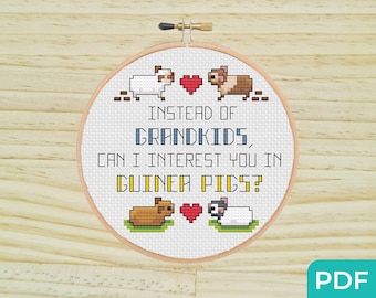 Posso interessarti Schema punto croce porcellini d'India, punto croce porcellini d'India, punto croce per genitori, schema PDF senza bambini