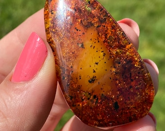 May include: A teardrop-shaped piece of amber with inclusions of insects and plant matter. The amber is a deep orange color with a glossy finish.