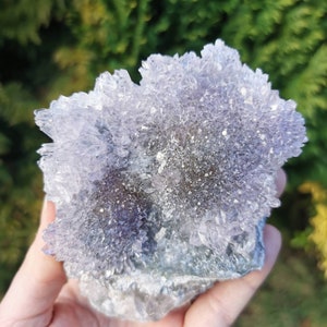May include: A cluster of amethyst crystals with a purple and white color. The crystals are arranged in a flower-like shape and have a rough, natural texture.