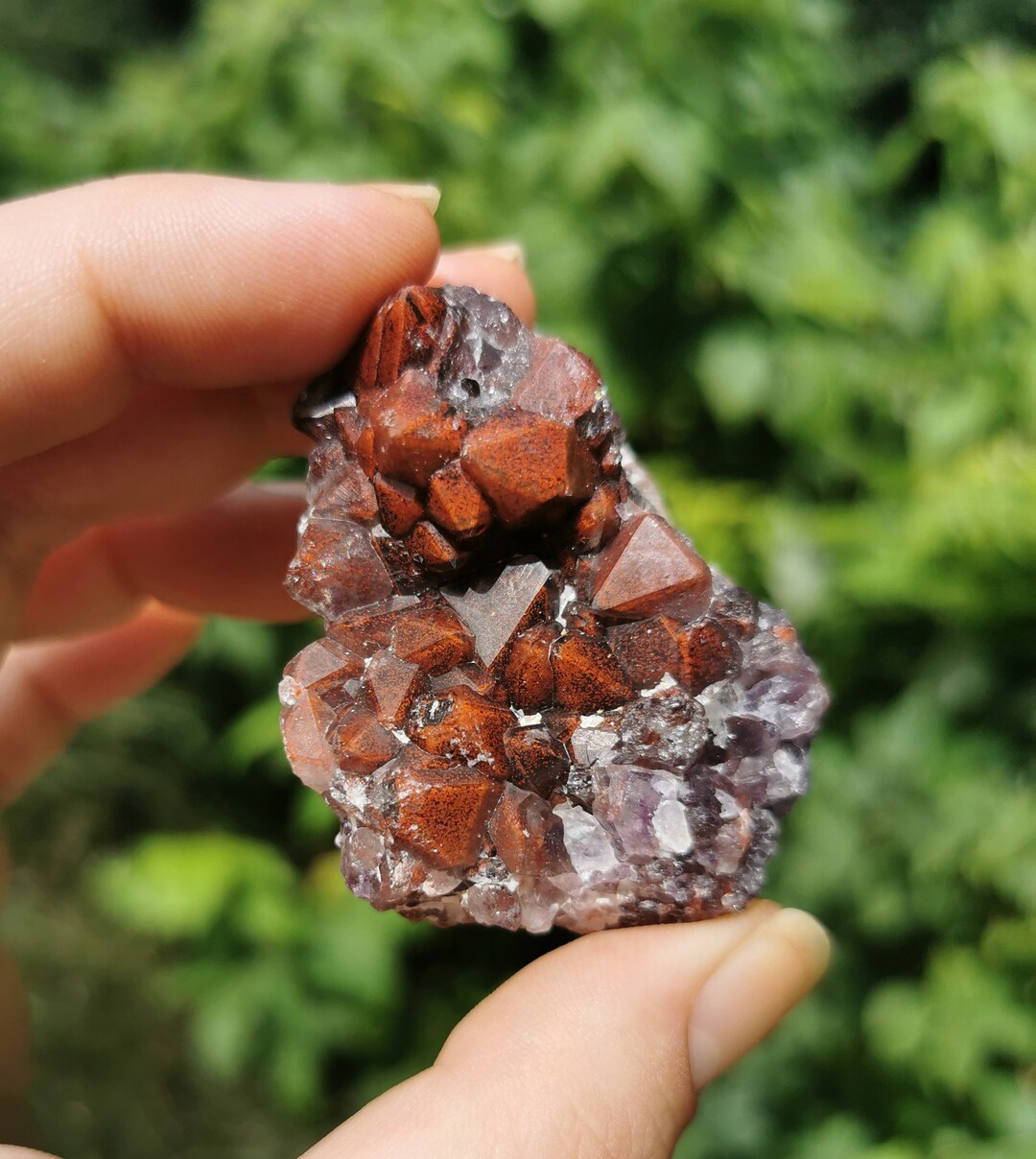 Grosse Géode D'améthyste Naturelle - 8 Livres (env. 3.6 Kg) - Spécimen Quartz