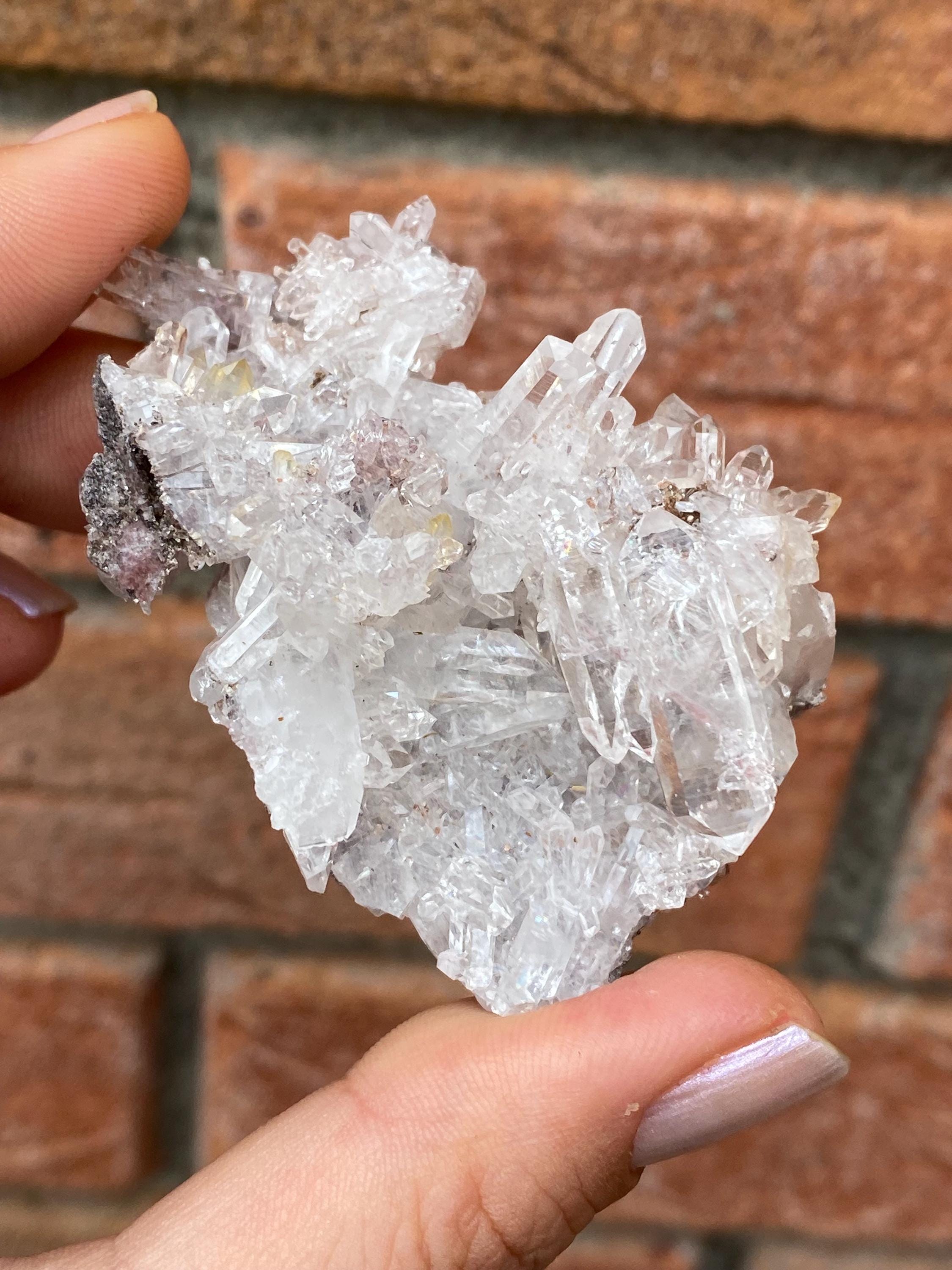 コロンビア、サンタンデール熱帯雨林産の神聖なピンクのレムリアン 