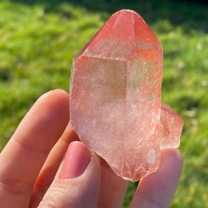 Scarlet temple lemurian - Etsy 日本