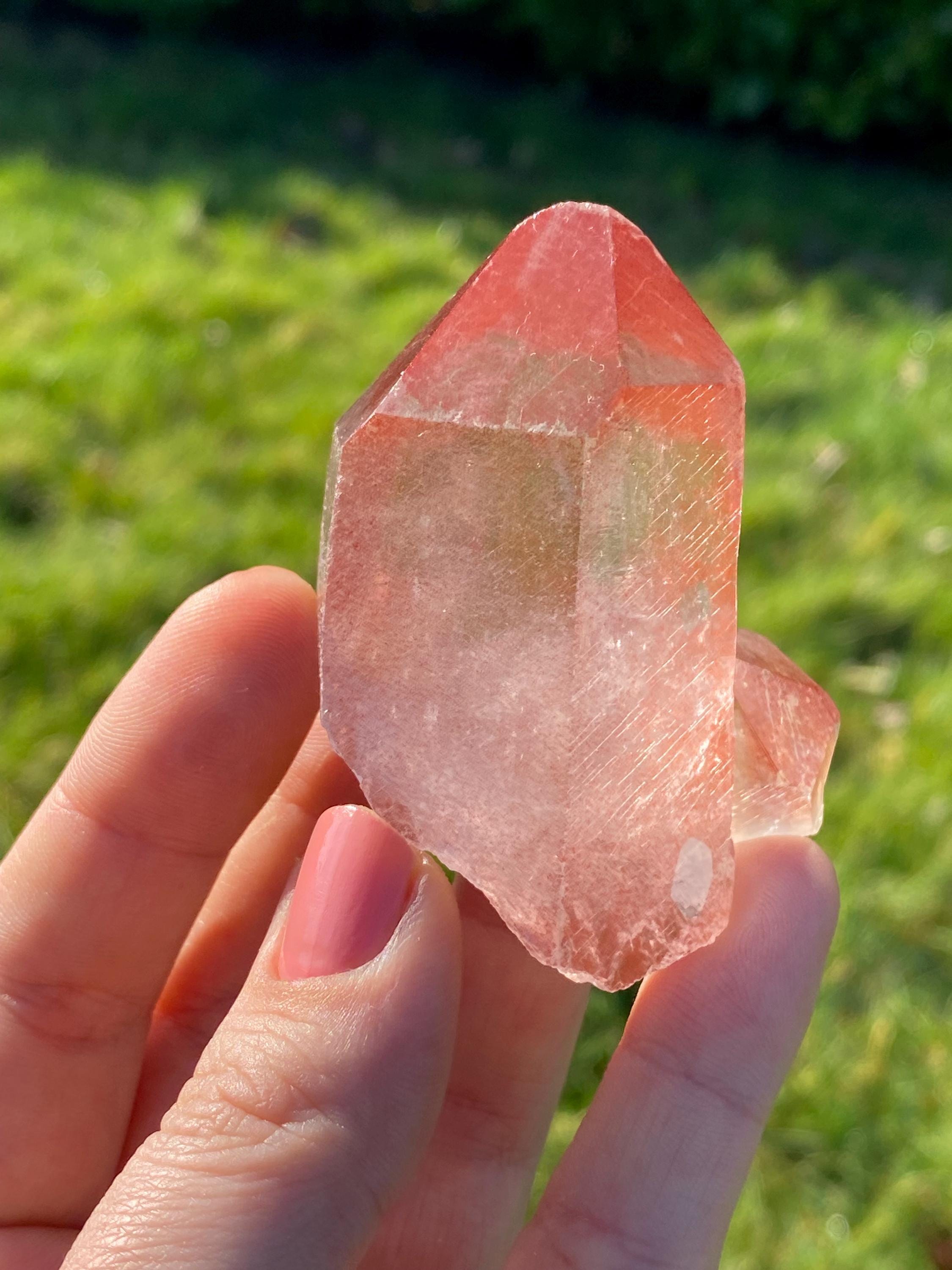 Scarlet temple lemurian - Etsy 日本