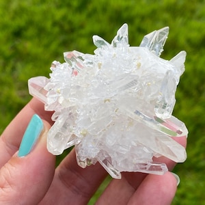 Colombian Needle Quartz Lemurian Light Quartz crystal cluster from Santander Rainforest , Colombia