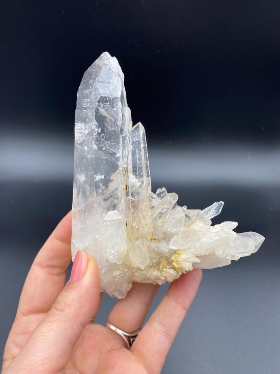 コロンビア、サンタンデール熱帯雨林産の大型コロンビア産レムリアン