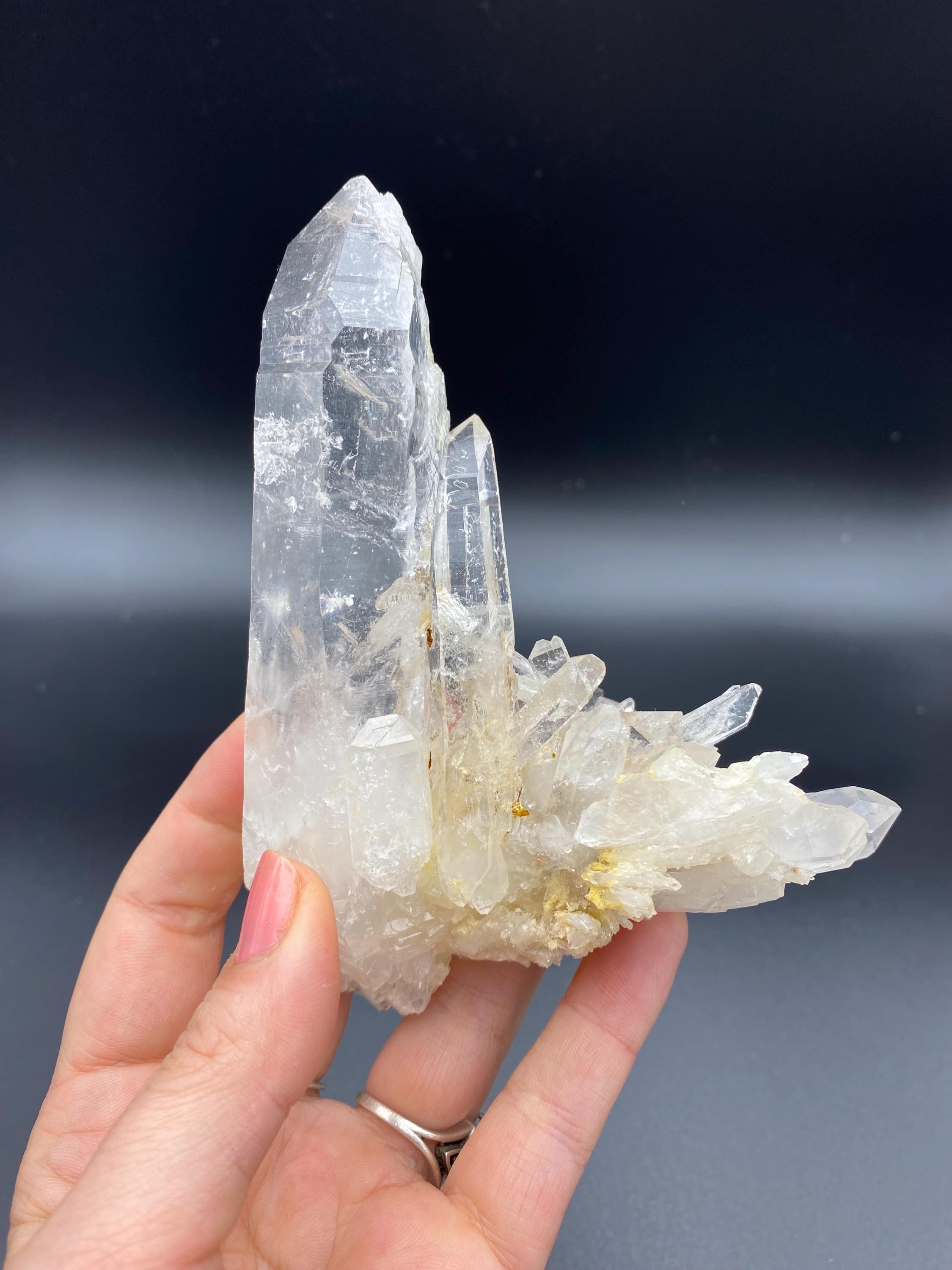 コロンビア、サンタンデール熱帯雨林産の大型コロンビア産レムリアン