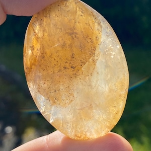 Dendritic Quartz Palmstone: Golden Healer Crystal from Brazil