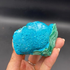 May include: A vibrant turquoise mineral specimen with a textured surface. The mineral has a rounded shape with a contrasting green edge. The specimen is held in a hand against a dark background.