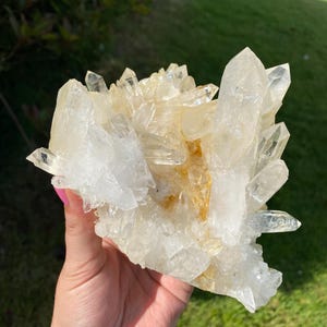 XL Colombian Lemurian Light Quartz crystal cluster from Santander Rainforest , Colombia Statement piece healing energy