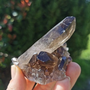High quality Natural Smoky Quartz cluster from Brazil