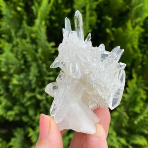 Colombian Needle Quartz Lemurian Light Quartz crystal cluster from Santander Rainforest , Colombia