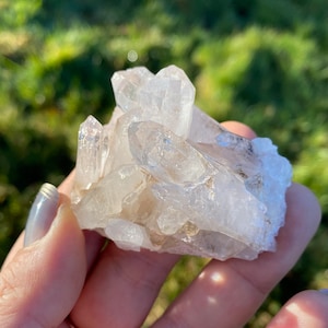 Colombian Lemurian Light Quartz crystal cluster from Santander Rainforest , Colombia