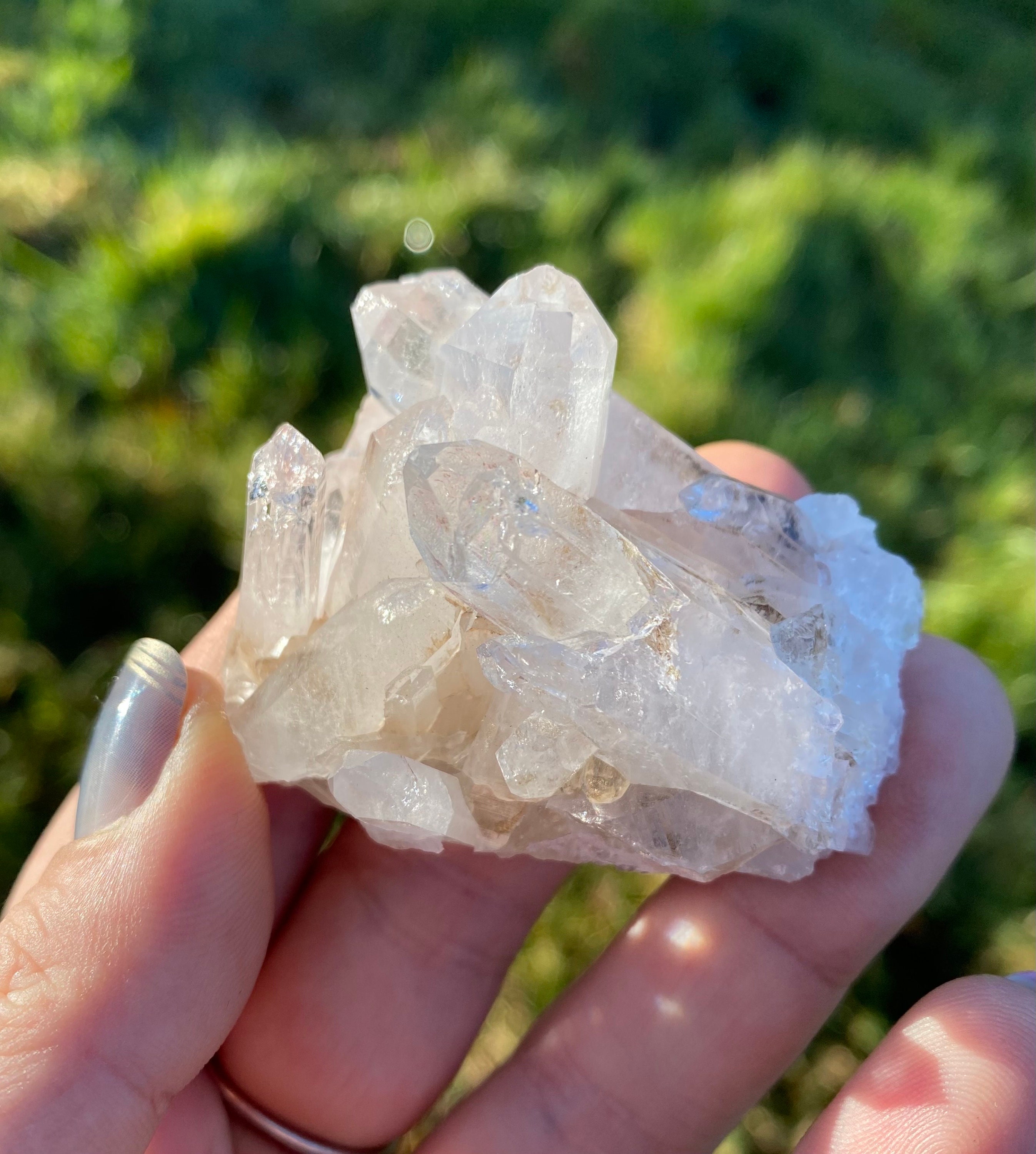 コロンビア、サンタンデール熱帯雨林産のコロンビア産レムリアンライト