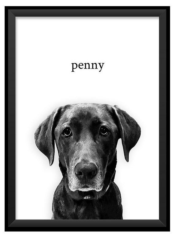 CUSTOM PET PORTRAIT Black and White Portrait Custom Dog - Etsy