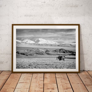Mongolia Printable, Tibetan Yak, Travel Photography, Digital Download, Fine Art Photo, Animal Wall Art, Mountain Decor, Mongolian Landscape