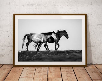May include: Two horses run side-by-side across a field, captured in a black and white photograph. The horse in the foreground is a dappled grey, while the horse in the background is a solid black.