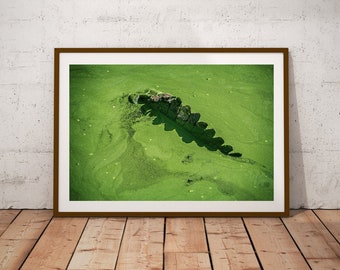 Crocodile Printable, Instant Download, Alligator Art Poster, Minimalist Photography, Green Art Decor, Wild Animal Wall Art, Crocodiles Skin