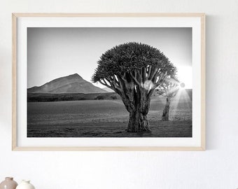 Trees in Desert Wall Decor, Black and White Desert Landscape Printable, Wilderness Art Poster, Instant Download, Namibia Africa Wall Art