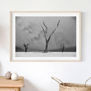 Arte mural de árbol seco, impresión minimalista de desierto, impresión de árbol muerto en blanco y negro, descarga instantánea, decoración de pared bohemia, foto de paisaje de Namibia