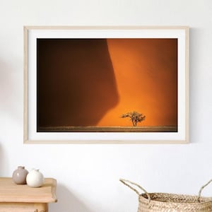 Desert Landscape, Desert Tree Print, Downloadable Print, Nature Photography, Abstract Minimalist Photo, Namibia Africa Decor, Plant Poster
