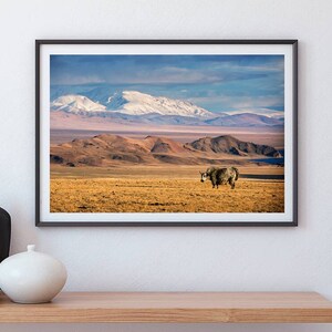 Tibetan Yak Art, Mountain Landscape, Mongolia Printable, Travel Asia, Instant Download, Fine Art Photography, Animal Print, Nature Wall Art