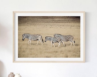 Three Zebras Photography Print, Africa Wildlife, Nursery Wall Art (Digital Download)