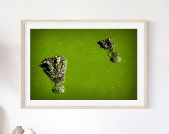 Crocodile Photography Print, Wild Animal Wall Art (Digital Download)