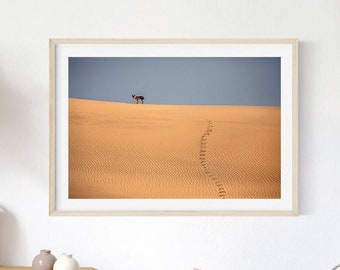 Namibian Jackal Desert Print, African Safari Animal Photography (Digital Download)