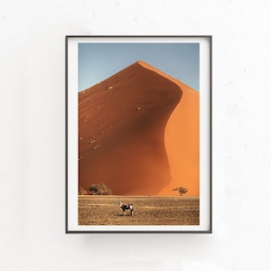 Puede incluir: Un oryx solitario se encuentra en primer plano de una fotografía de una gran duna de arena naranja en el desierto de Namib. La duna es curva y parece estar iluminada por el sol poniente.