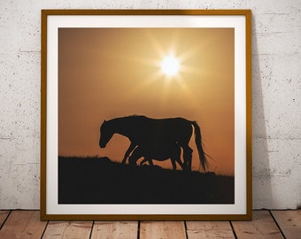 Stampa fotografica di un mustang selvaggio, decorazione murale con cavalli (download digitale)