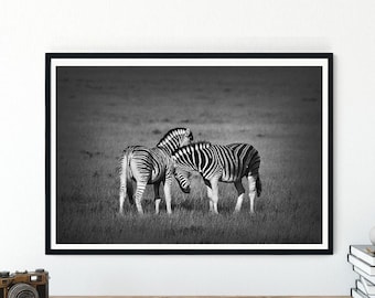 Black and White Zebra Photo Print, African Wildlife Wall Art (Digital Download)