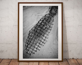 Crocodile Printable Wall Art, Crocodile Skin Wall Decor, Alligator Minimalist Print, Animal Art Poster, Gift For Him, Fine Art Photography