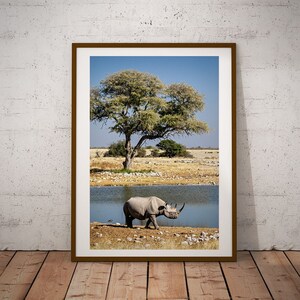 May include: A black rhinoceros walks towards a small body of water in a savanna landscape. A large tree with green leaves stands in the background.